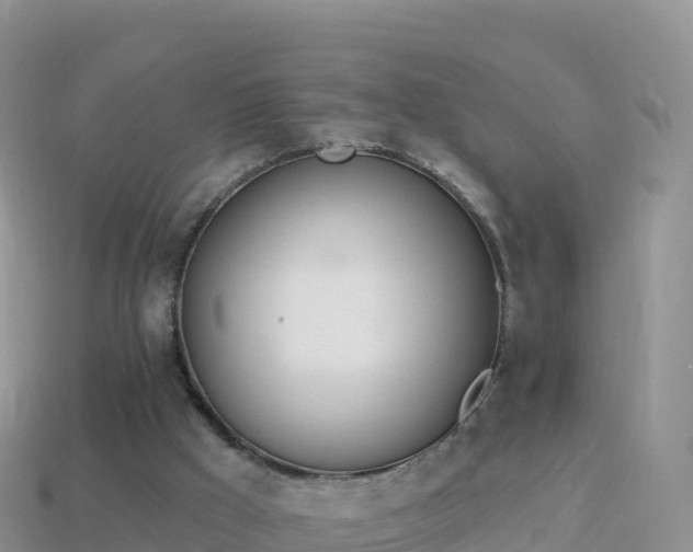 X0000114030009200910091444