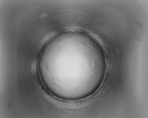 X0000114030010200910091444