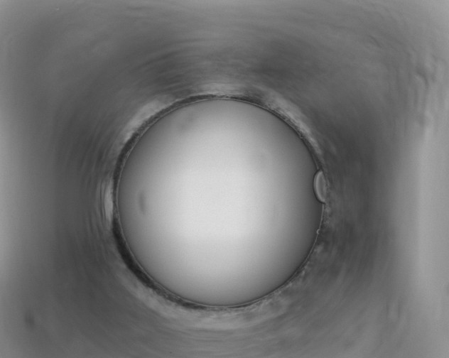 X0000114030011200910091444