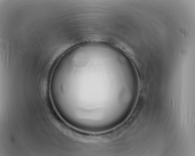 X0000114030012200910091444