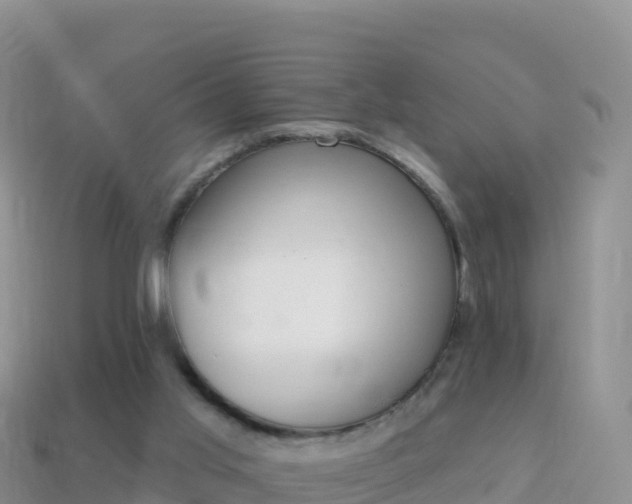 X0000114030013200910091444