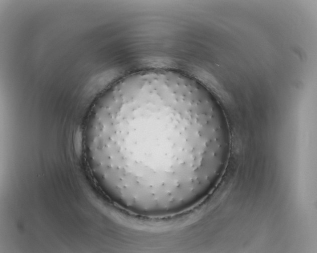 X0000114030014200910091444