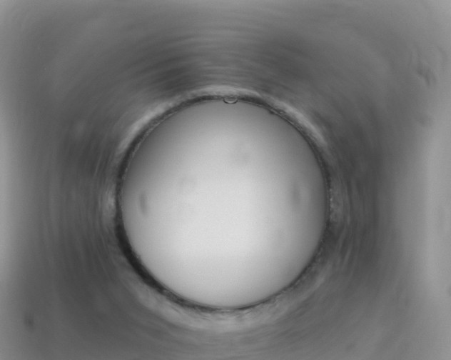 X0000114030015200910091444