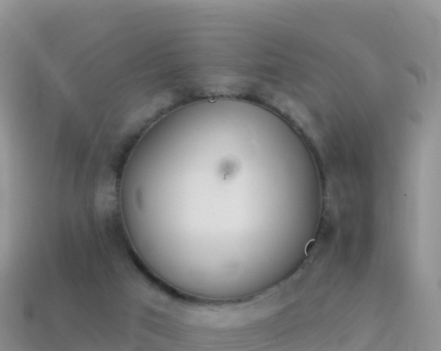 X0000114030017200910091444