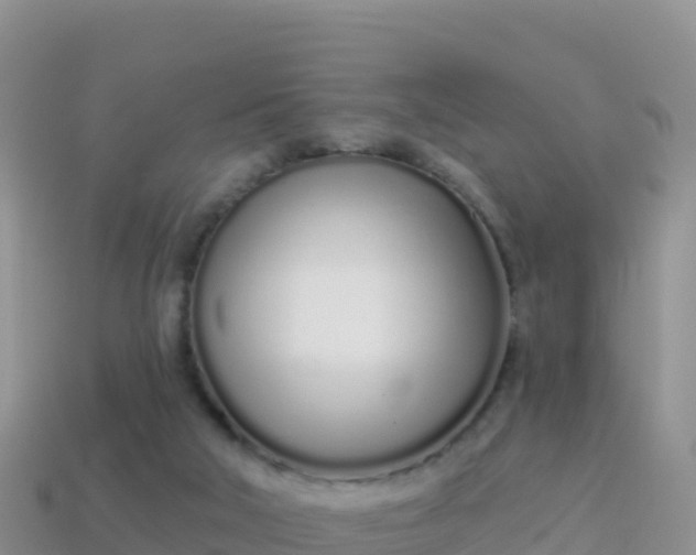 X0000114030018200910091444