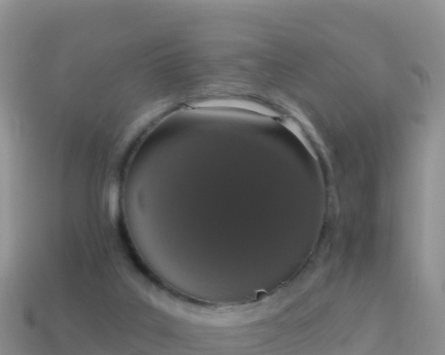 X0000114030019200910091444