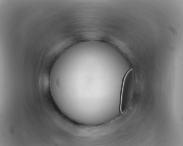 X0000114030021200910091443