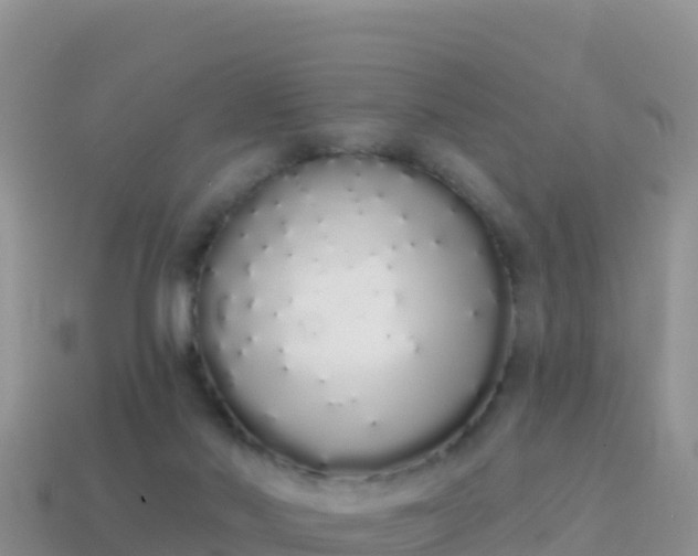 X0000114030022200910091443