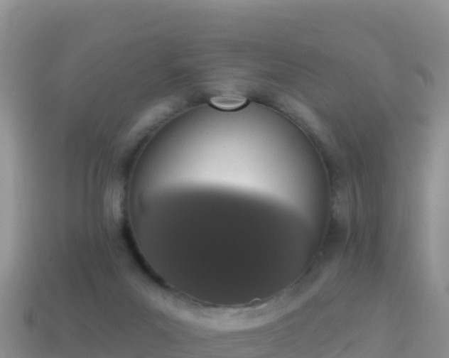 X0000114030023200910091443