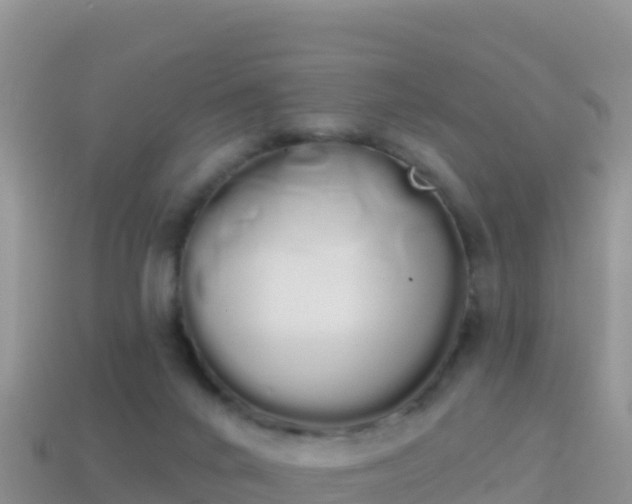 X0000114030024200910091443