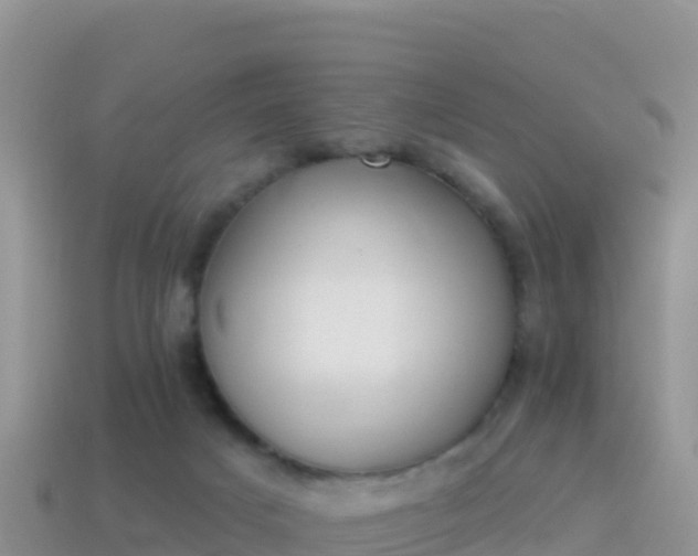 X0000114030025200910091443