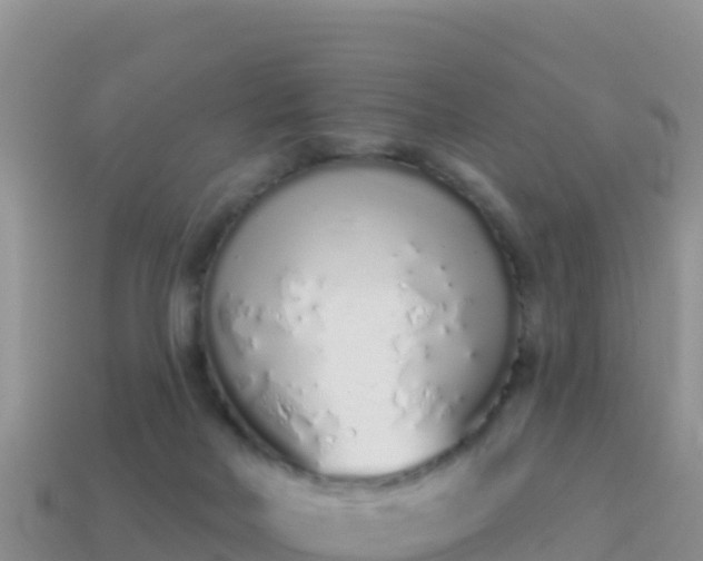 X0000114030026200910091443