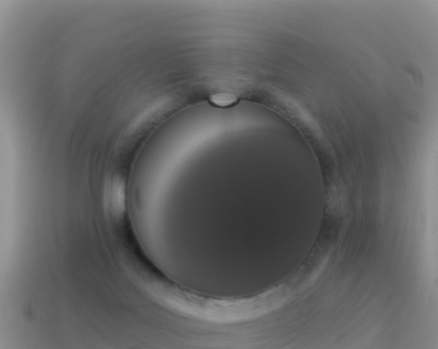 X0000114030027200910091443