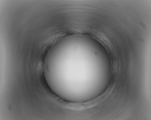 X0000114030029200910091443