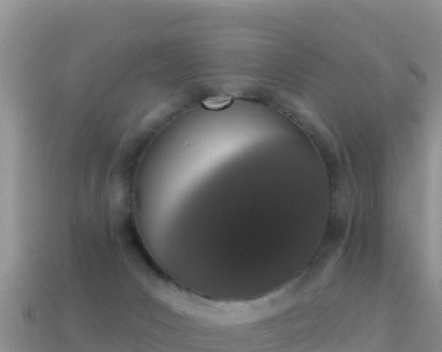 X0000114030031200910091443