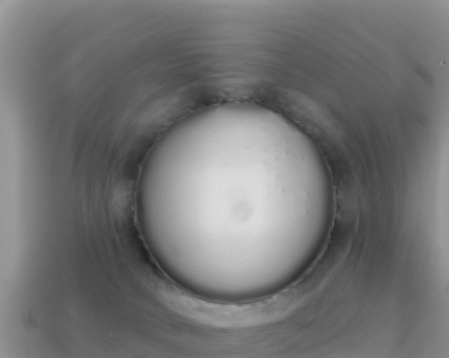 X0000114030034200910091443