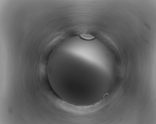 X0000114030035200910091443