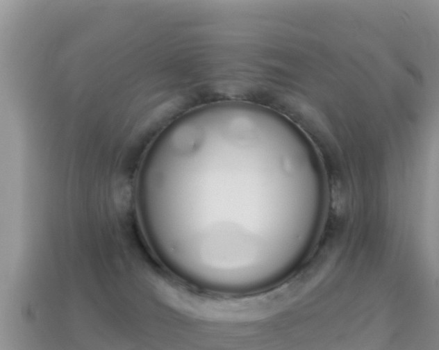 X0000114030036200910091443