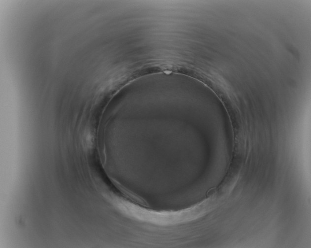 X0000114030039200910091443