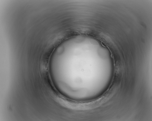 X0000114030040200910091443