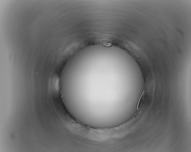 X0000114030041200910091443