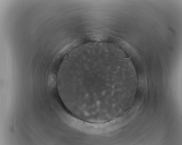 X0000114030043200910091443