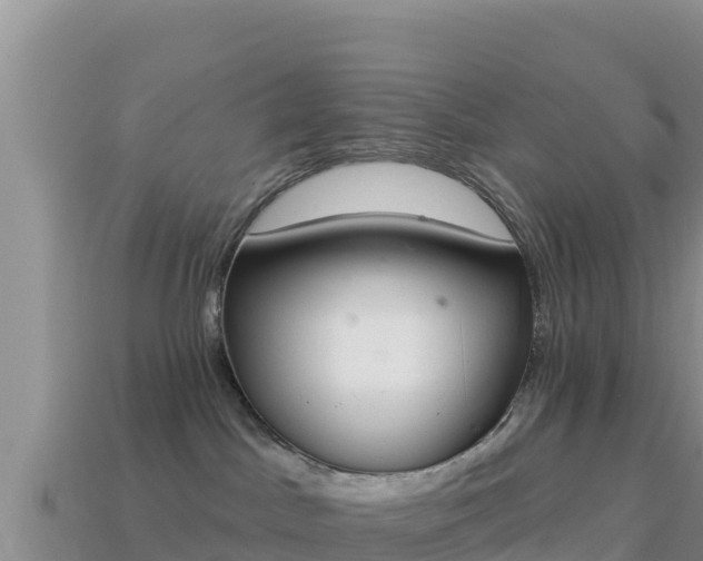 X0000114030045200910091443