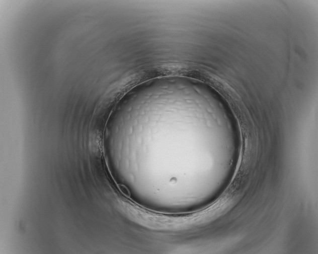 X0000114030048200910091443