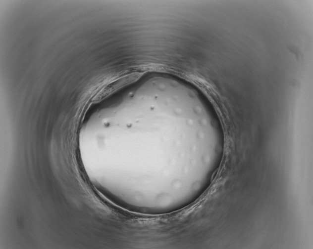 X0000114030049200910091442