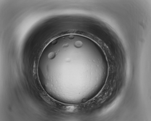 X0000114030050200910091442