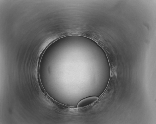 X0000114030052200910091442