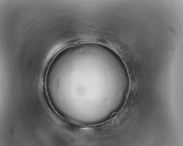 X0000114030053200910091443