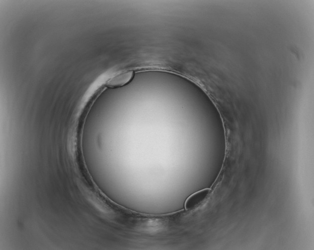 X0000114030056200910091443