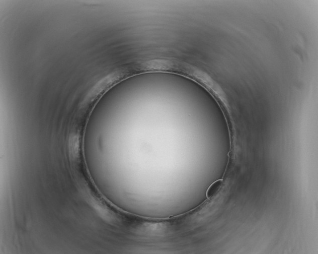 X0000114030057200910091443