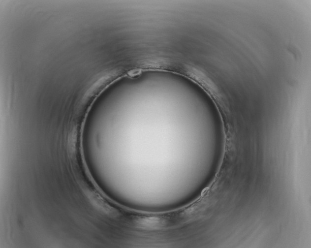 X0000114030058200910091443