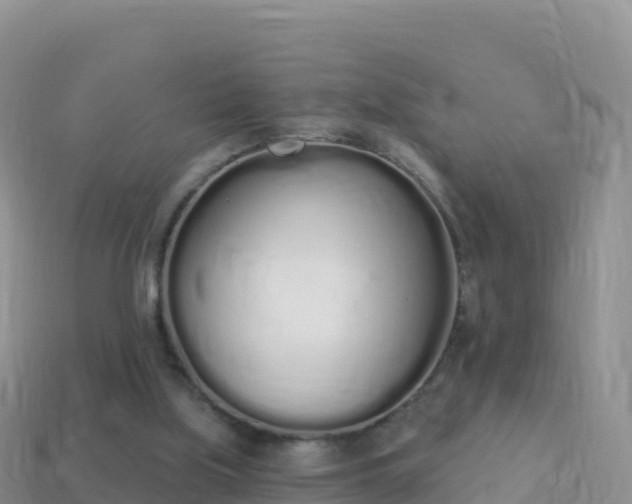 X0000114030059200910091443