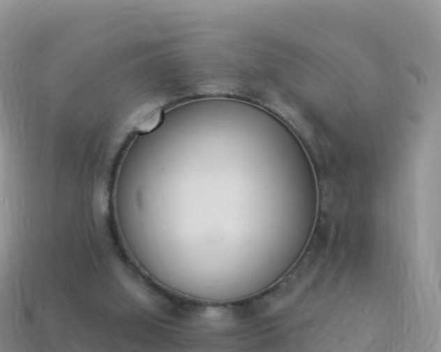 X0000114030060200910091443