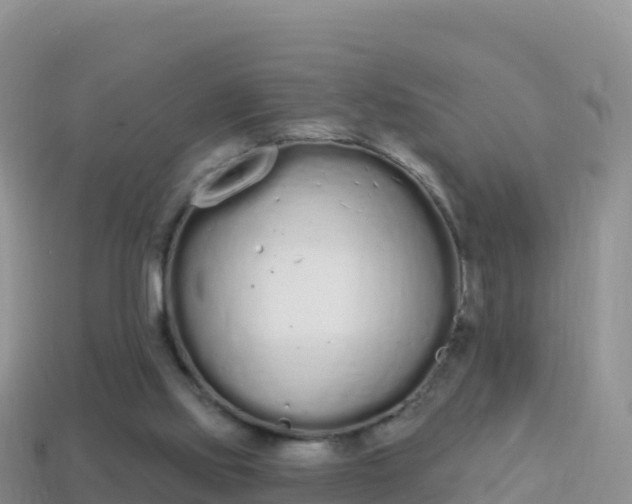 X0000114030061200910091443