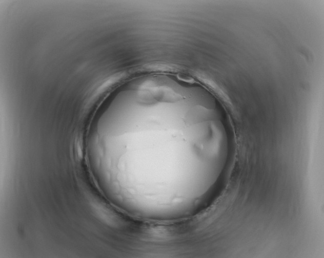 X0000114030062200910091443