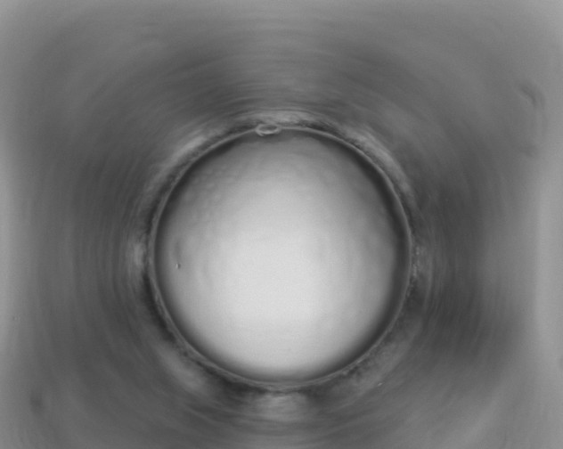 X0000114030063200910091443