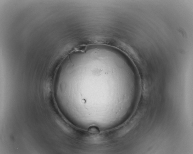 X0000114030065200910091443