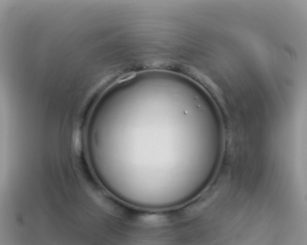 X0000114030067200910091443