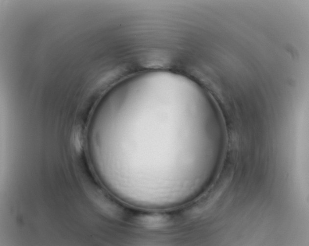 X0000114030069200910091443