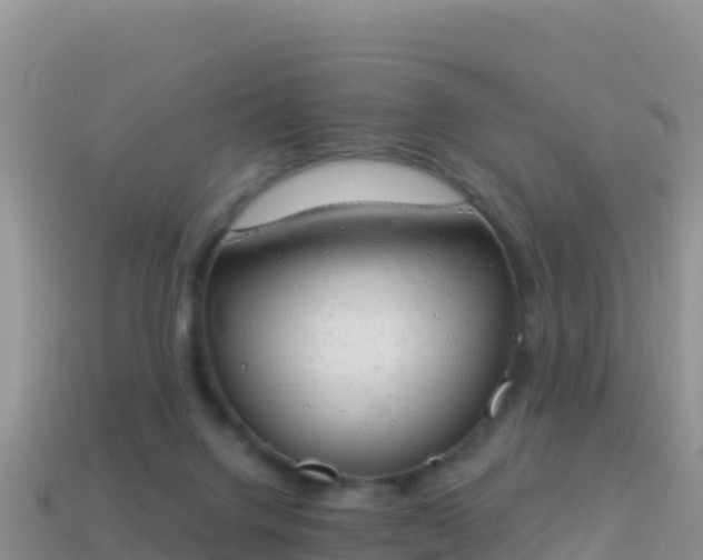 X0000114030072200910091443