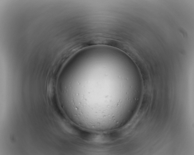 X0000114030074200910091443