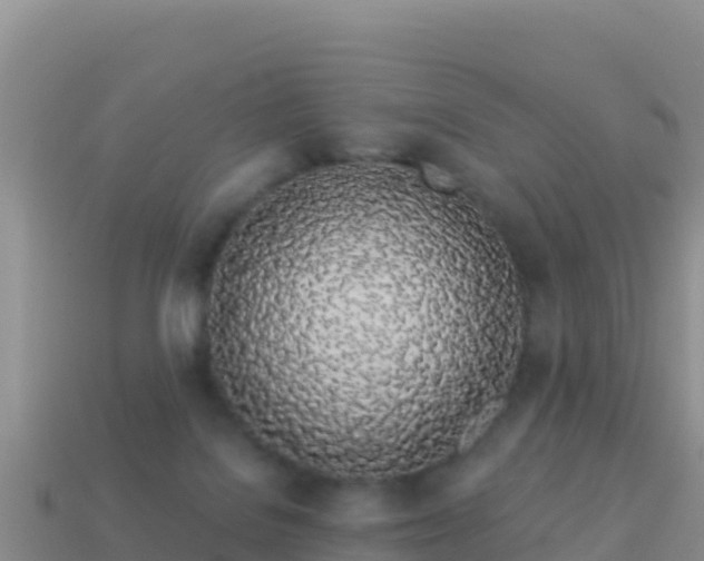 X0000114030076200910091443