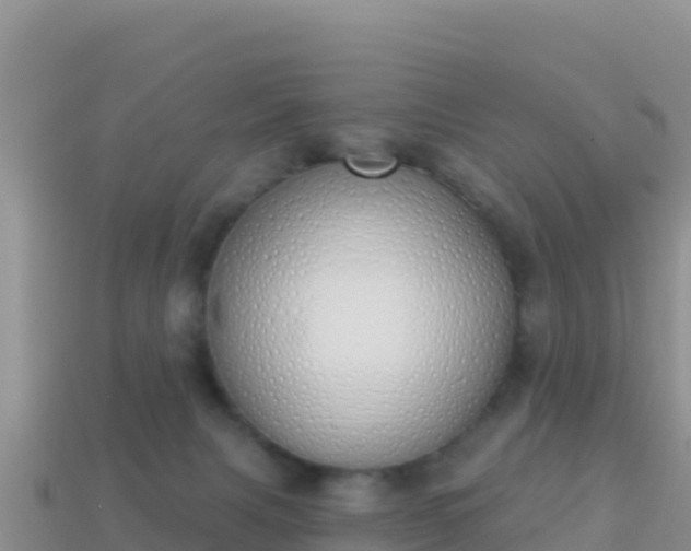 X0000114030079200910091443