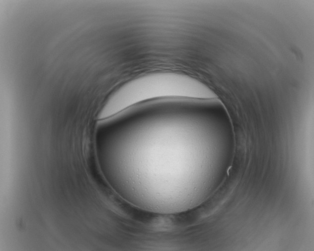 X0000114030080200910091443