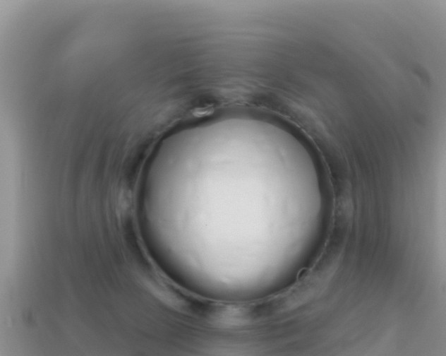 X0000114030081200910091443