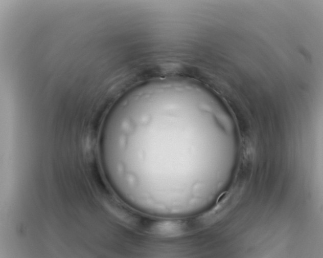 X0000114030082200910091443